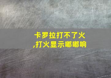 卡罗拉打不了火,打火显示嘟嘟响