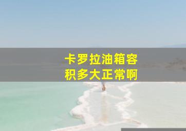 卡罗拉油箱容积多大正常啊