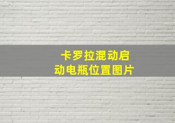 卡罗拉混动启动电瓶位置图片