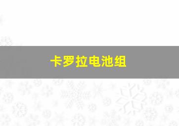 卡罗拉电池组