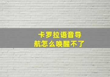 卡罗拉语音导航怎么唤醒不了