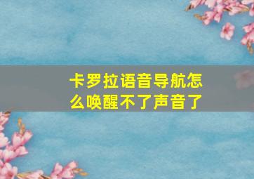 卡罗拉语音导航怎么唤醒不了声音了