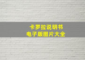 卡罗拉说明书电子版图片大全