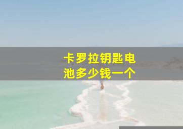 卡罗拉钥匙电池多少钱一个