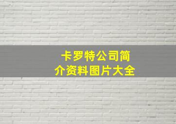 卡罗特公司简介资料图片大全