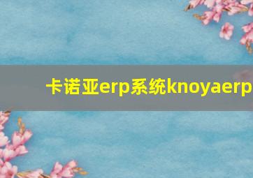 卡诺亚erp系统knoyaerp