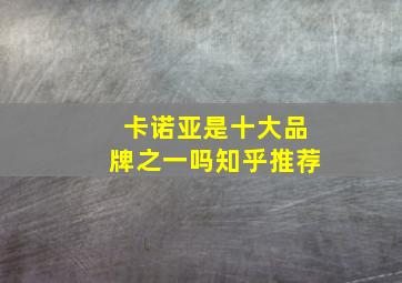 卡诺亚是十大品牌之一吗知乎推荐