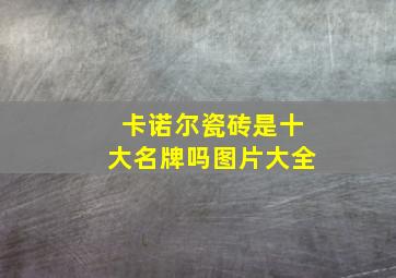 卡诺尔瓷砖是十大名牌吗图片大全