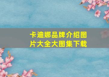 卡迪娜品牌介绍图片大全大图集下载