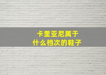 卡里亚尼属于什么档次的鞋子