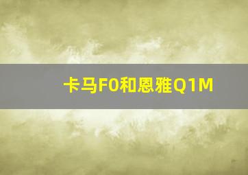 卡马F0和恩雅Q1M