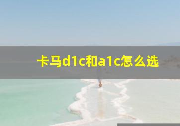 卡马d1c和a1c怎么选