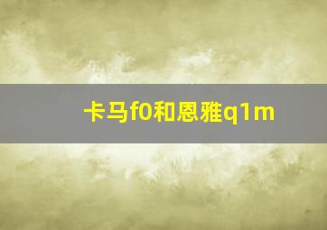 卡马f0和恩雅q1m