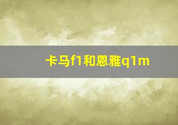 卡马f1和恩雅q1m