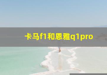 卡马f1和恩雅q1pro