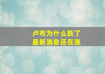 卢布为什么跌了最新消息还在涨