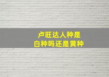 卢旺达人种是白种吗还是黄种