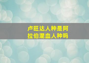 卢旺达人种是阿拉伯混血人种吗