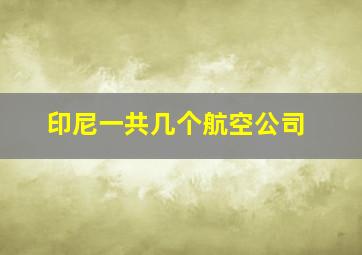 印尼一共几个航空公司