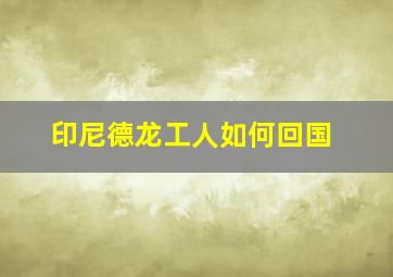 印尼德龙工人如何回国