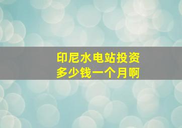 印尼水电站投资多少钱一个月啊