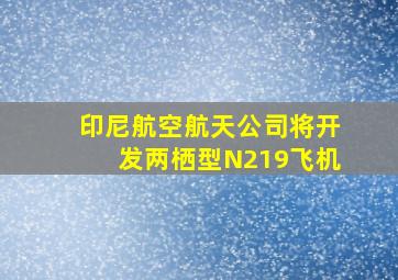 印尼航空航天公司将开发两栖型N219飞机