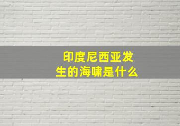 印度尼西亚发生的海啸是什么