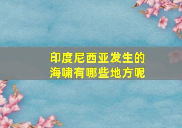 印度尼西亚发生的海啸有哪些地方呢