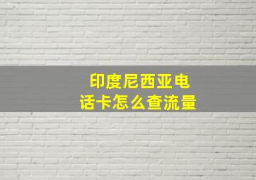 印度尼西亚电话卡怎么查流量