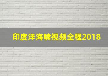 印度洋海啸视频全程2018