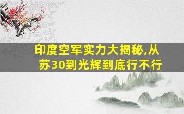 印度空军实力大揭秘,从苏30到光辉到底行不行