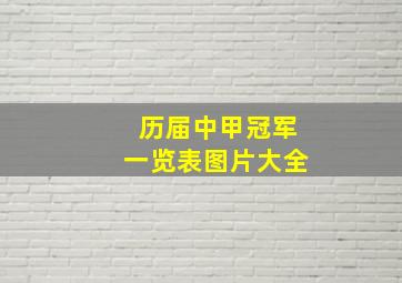 历届中甲冠军一览表图片大全