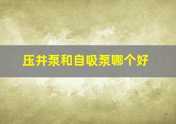 压井泵和自吸泵哪个好