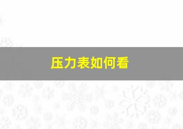 压力表如何看