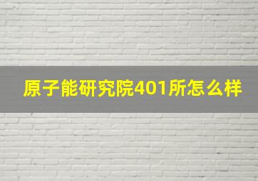 原子能研究院401所怎么样