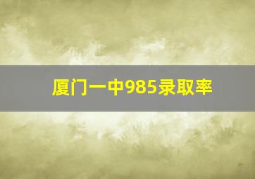 厦门一中985录取率