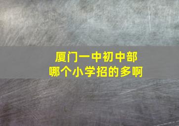 厦门一中初中部哪个小学招的多啊