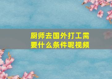 厨师去国外打工需要什么条件呢视频