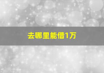 去哪里能借1万