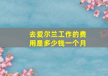 去爱尔兰工作的费用是多少钱一个月