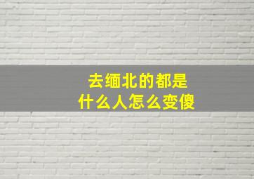 去缅北的都是什么人怎么变傻