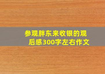 参观胖东来收银的观后感300字左右作文