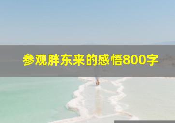 参观胖东来的感悟800字