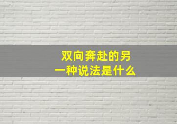 双向奔赴的另一种说法是什么