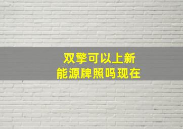 双擎可以上新能源牌照吗现在