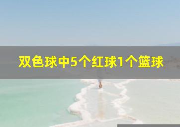 双色球中5个红球1个篮球