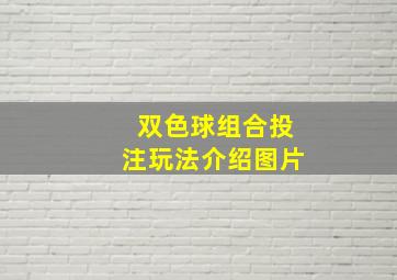 双色球组合投注玩法介绍图片