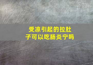 受凉引起的拉肚子可以吃肠炎宁吗