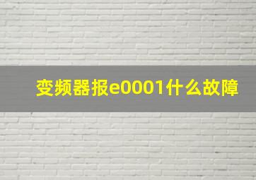 变频器报e0001什么故障