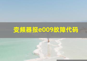 变频器报e009故障代码